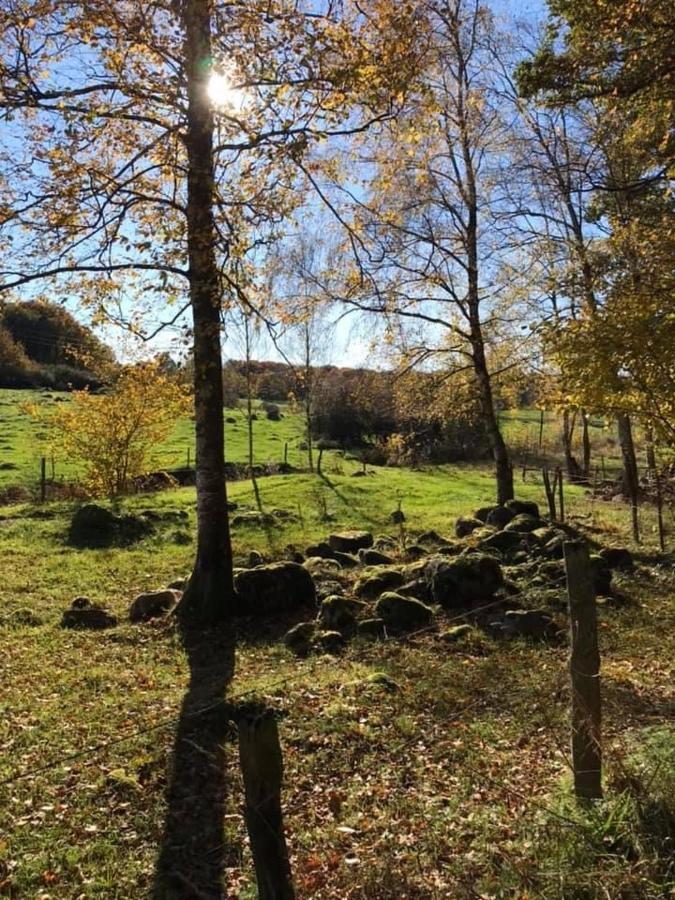 Backahusets B&B Höör Dış mekan fotoğraf