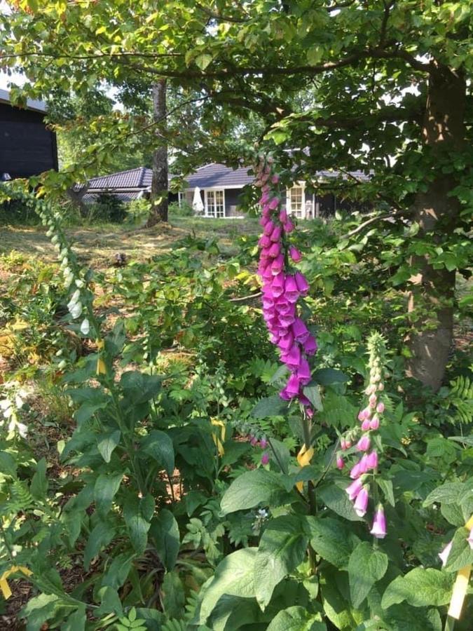 Backahusets B&B Höör Dış mekan fotoğraf